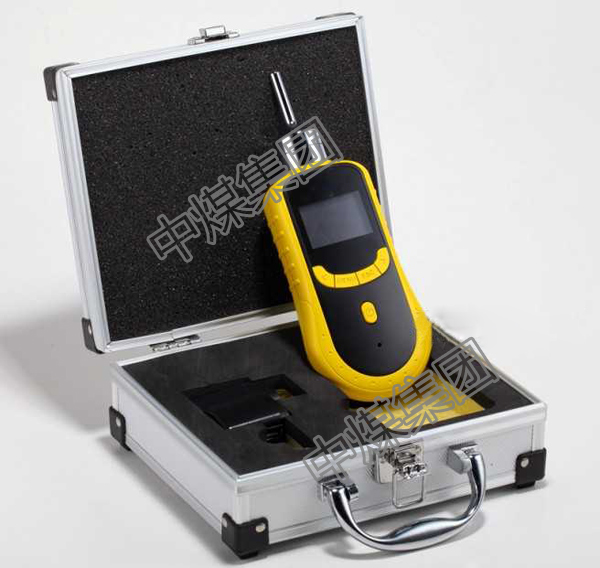 泵吸式臭氧检测仪